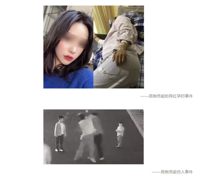為什么不買保險(xiǎn)就不讓養(yǎng)狗？