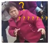 為什么不買保險(xiǎn)就不讓養(yǎng)狗？
