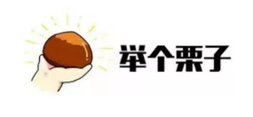 什么是年金轉換？