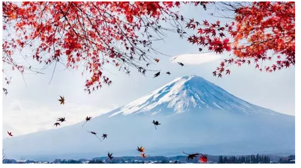 尊享e生值不值得購買？