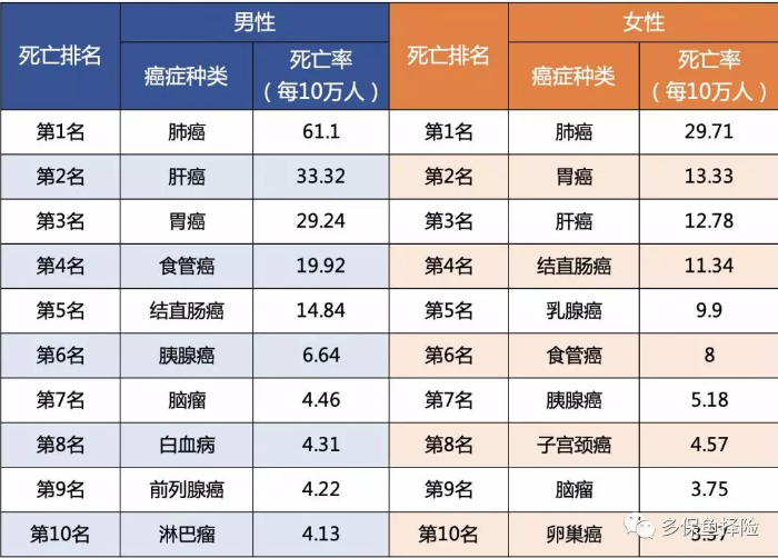 女性高發(fā)重疾怎么選？