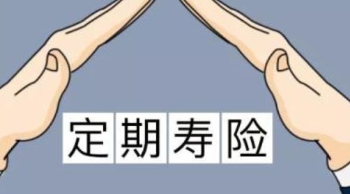 定期壽險和終身壽險的區(qū)別！弄清楚了才能更好地作出選擇！
